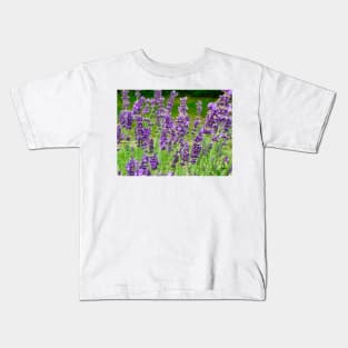 Lavender in the Garden Kids T-Shirt